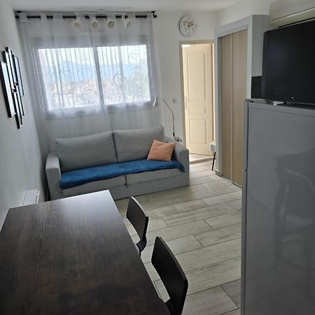 Studio Climatise 50 M.Du Port Saint-Cyprien  Eksteriør billede