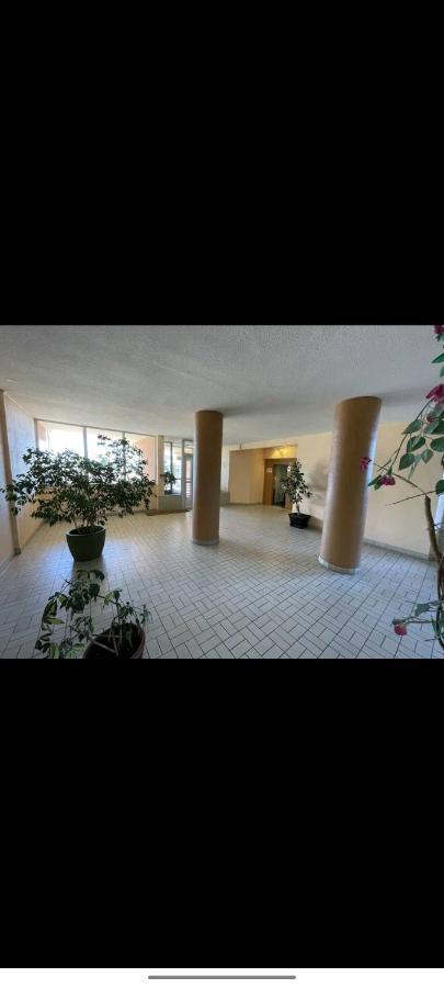 Studio Climatise 50 M.Du Port Saint-Cyprien  Eksteriør billede